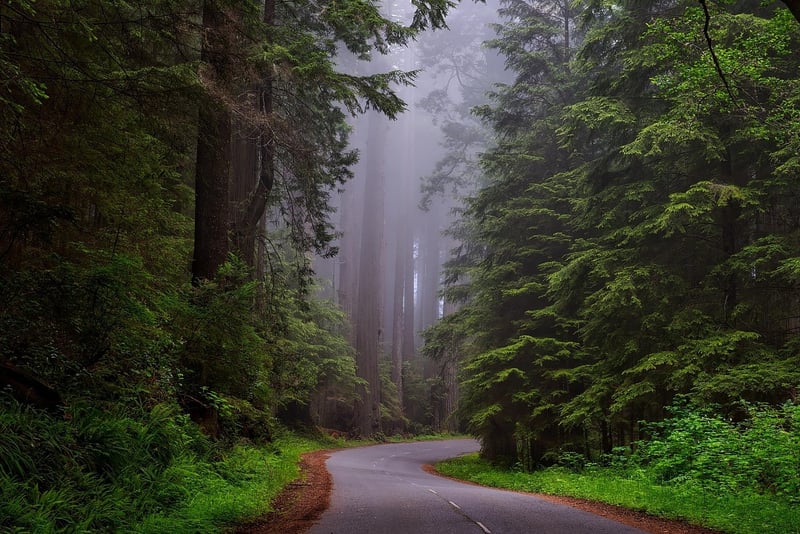 Mystical Grove Retreat